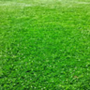 Meet your Posher, Marvelous